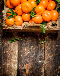 Similar image 15906734