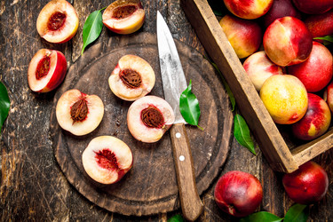 Similar image 15906971