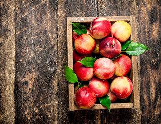 Similar image 15907445