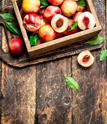 Similar image 15907530