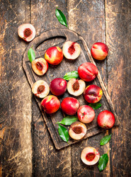 Similar image 15907656