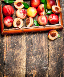 Similar image 15907793