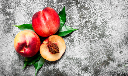 Similar image 15908311