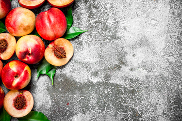 Similar image 15908336