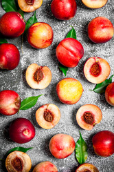 Similar image 15908155