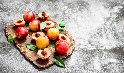 Similar image 15908170