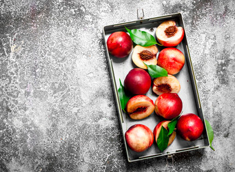 Similar image 15908357