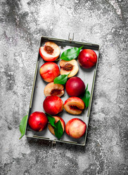 Similar image 15908372