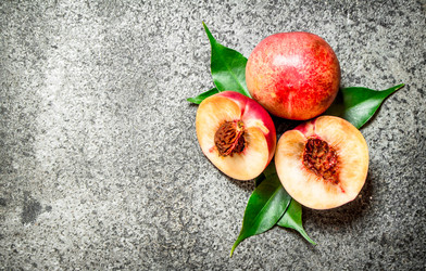 Similar image 15908517