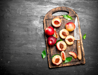 Similar image 15908575