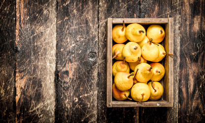 Similar image 15911349