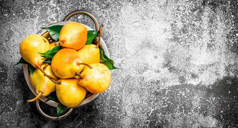 Similar image 15912385