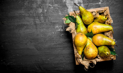 Similar image 15913316