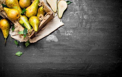 Similar image 15913350