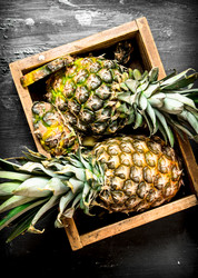 Similar image 15908076