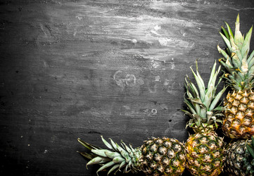 Similar image 15908199