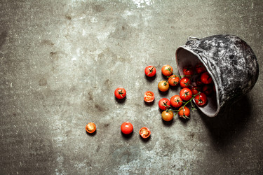 Similar image 15912256