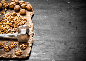 Similar image 15907596