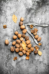 Similar image 15907857