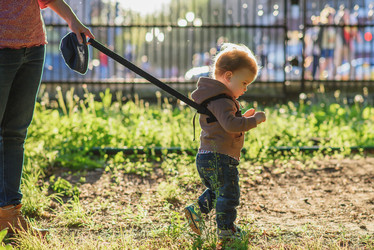 Similar image 16222778