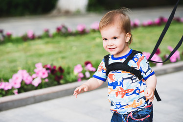 Similar image 16222781