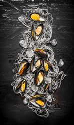 Similar image 15906986