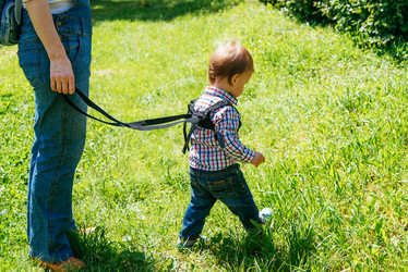 Similar image 16222704