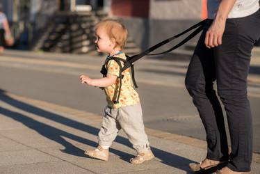 Similar image 16222716