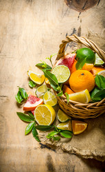 Similar image 15910959