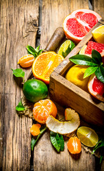 Similar image 15911564