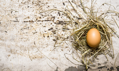 Similar image 15910332