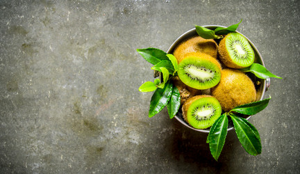 Similar image 15911518