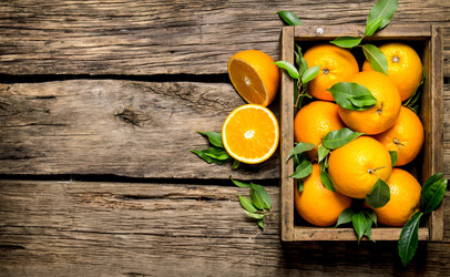 Similar image 15907256