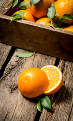 Similar image 15907356