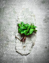 Similar image 15912463