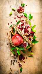 Similar image 15913216