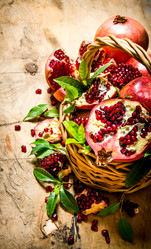 Similar image 15913278