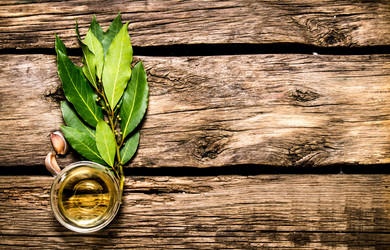 Similar image 15910422