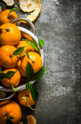 Similar image 15910519