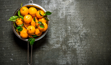 Similar image 15911796