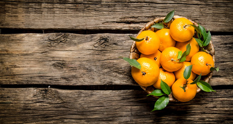 Similar image 15912464