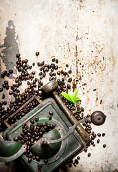 Similar image 15908163