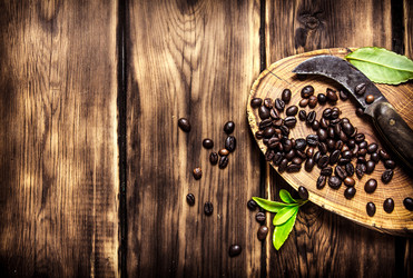 Similar image 15908482