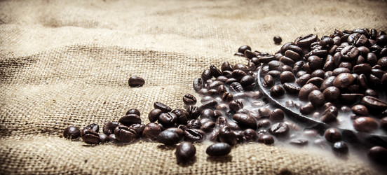 Similar image 15910560