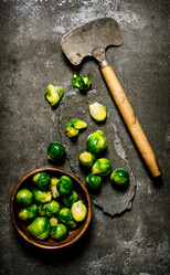 Similar image 15910623