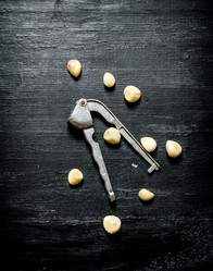 Similar image 15906879