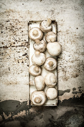 Similar image 15910792