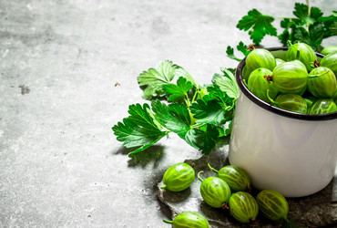 Similar image 15906880