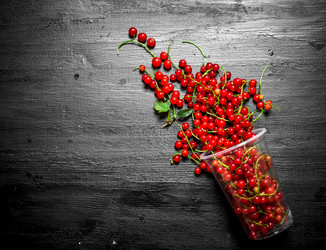 Similar image 15908020