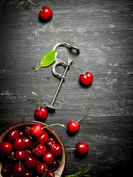 Similar image 15907546